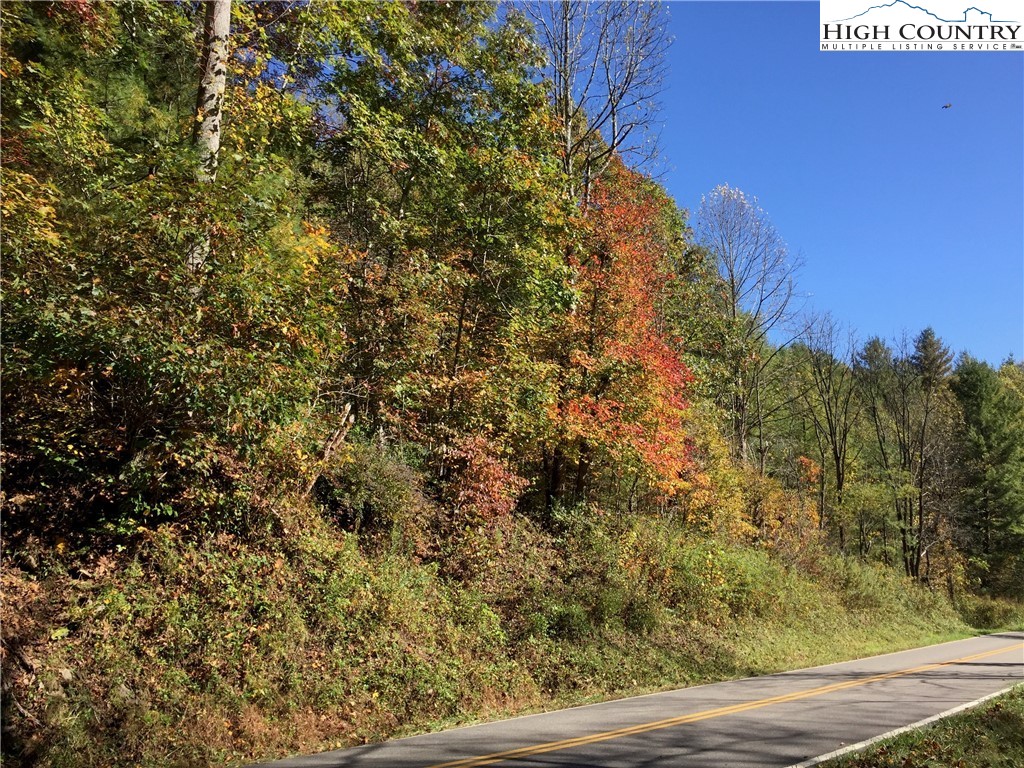 Smithey Road Grassy Creek, NC 28631 - Photo 10 of 38 Gallery Image 10