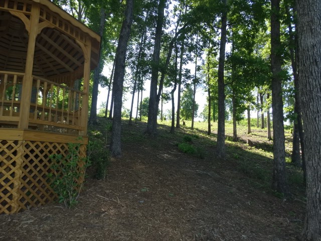 Lot 22 Barnes Road, Unit OAKE POINT Seneca, SC 29672 - Photo 23 of 27 Gallery Image 23
