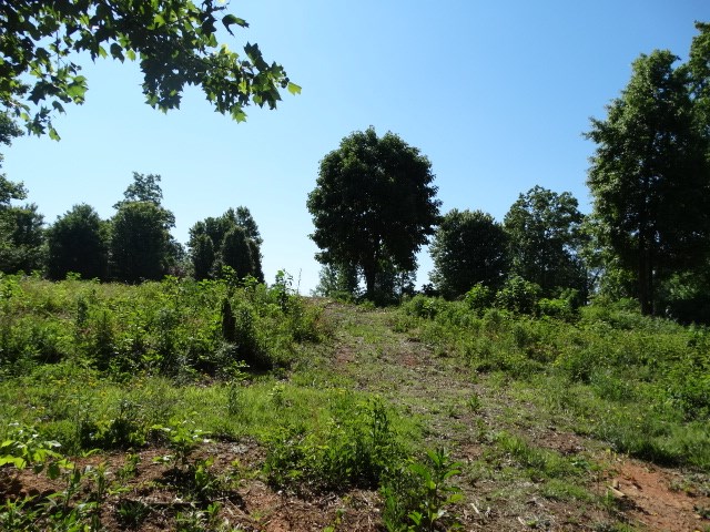 Lot 22 Barnes Road, Unit OAKE POINT Seneca, SC 29672 - Photo 26 of 27 Gallery Image 26