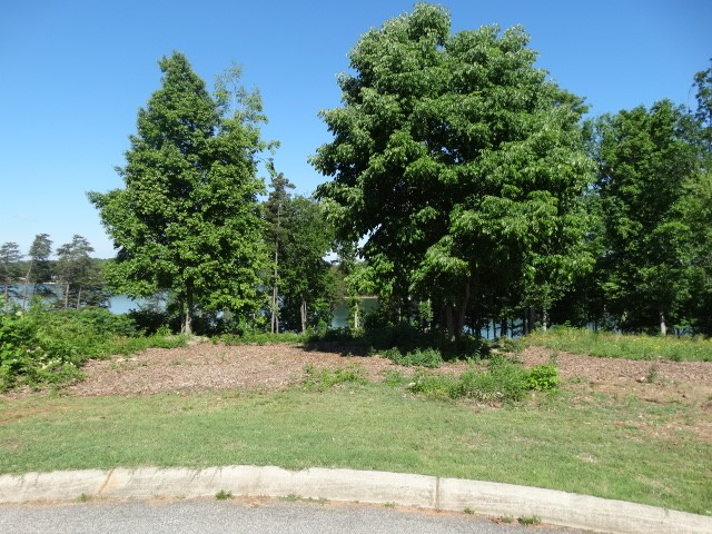 Lot 22 Barnes Road, Unit OAKE POINT Seneca, SC 29672 - Photo 3 of 27 Gallery Image 3