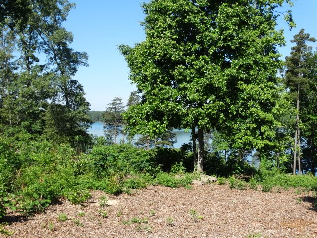 Lot 22 Barnes Road, Unit OAKE POINT Seneca, SC 29672 - Photo 5 of 27 Gallery Image 5