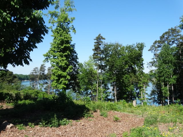 Lot 22 Barnes Road, Unit OAKE POINT Seneca, SC 29672 - Photo 6 of 27 Gallery Image 6