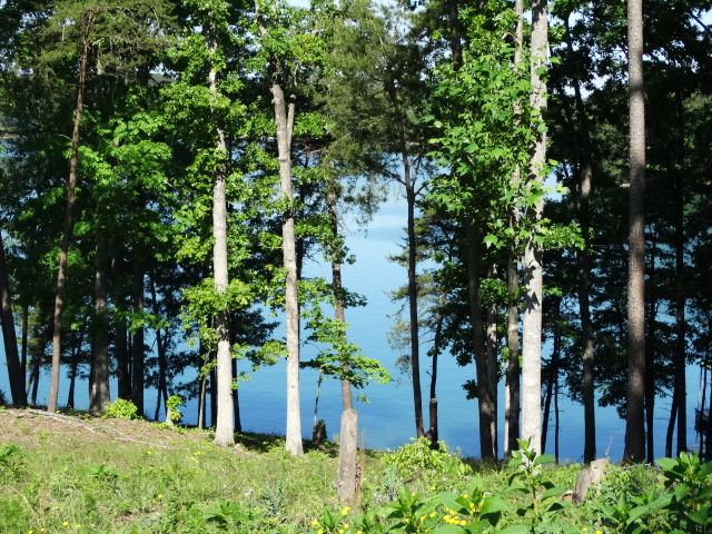 Lot 22 Barnes Road, Unit OAKE POINT Seneca, SC 29672 - Photo 8 of 27 Gallery Image 8