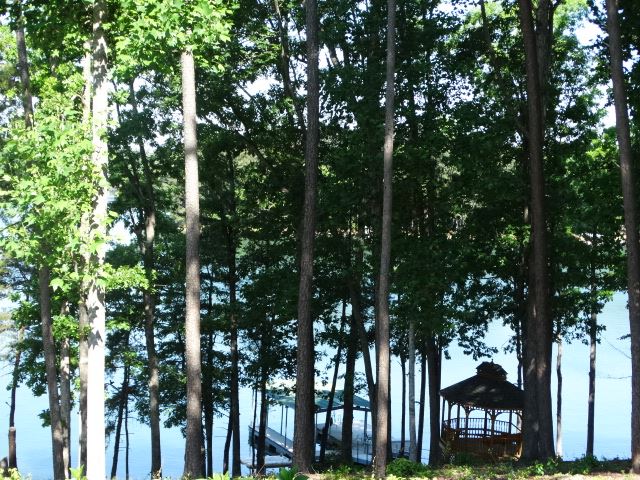 Lot 22 Barnes Road, Unit OAKE POINT Seneca, SC 29672 - Photo 9 of 27 Gallery Image 9