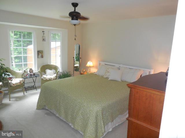 6213 Partlow Road Spotsylvania, VA 22551 - Photo 17 of 30 Bedroom (Master)