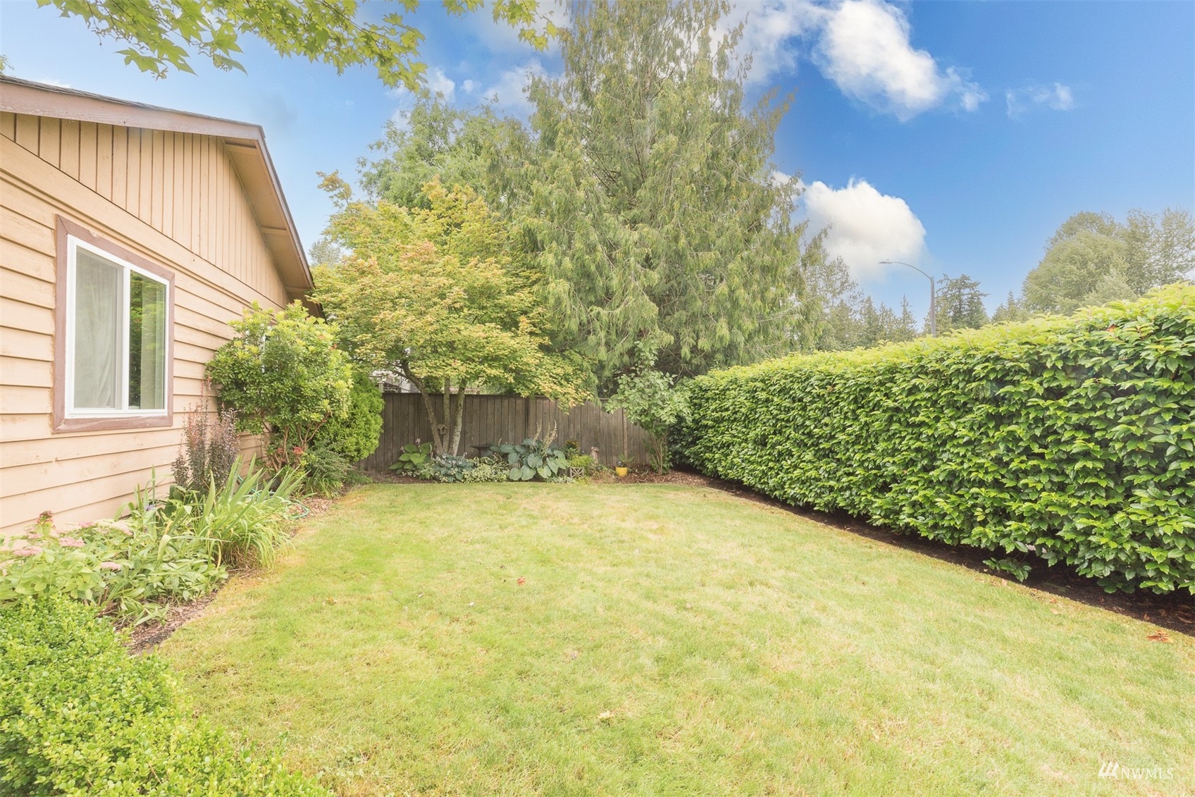 1825 225th Street Southeast Bothell, WA 98021 - Photo 6 of 30 a view of a garden with pathway