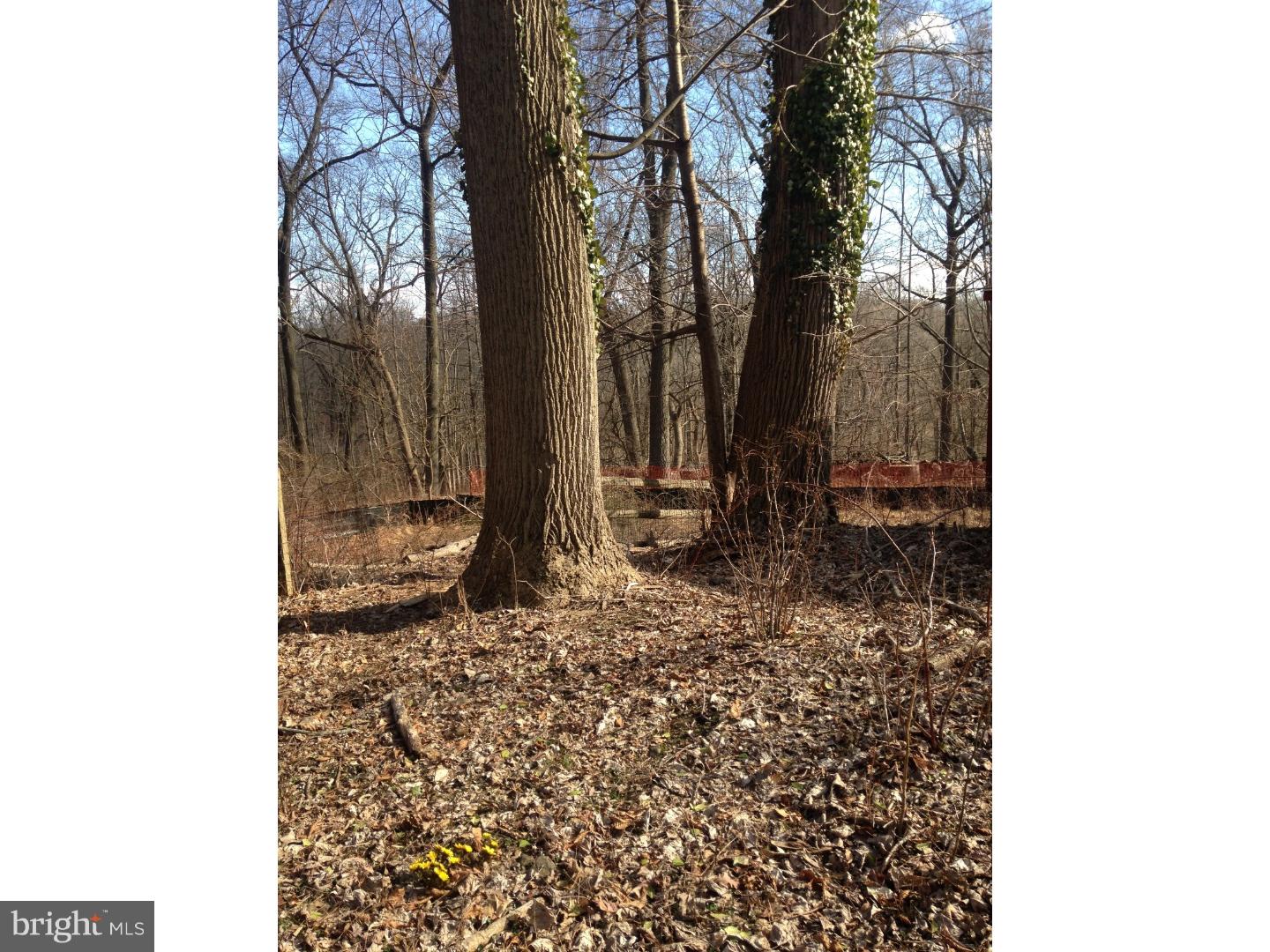 1627 Lafayette Road Gladwyne, PA 19035 - Photo 5 of 8