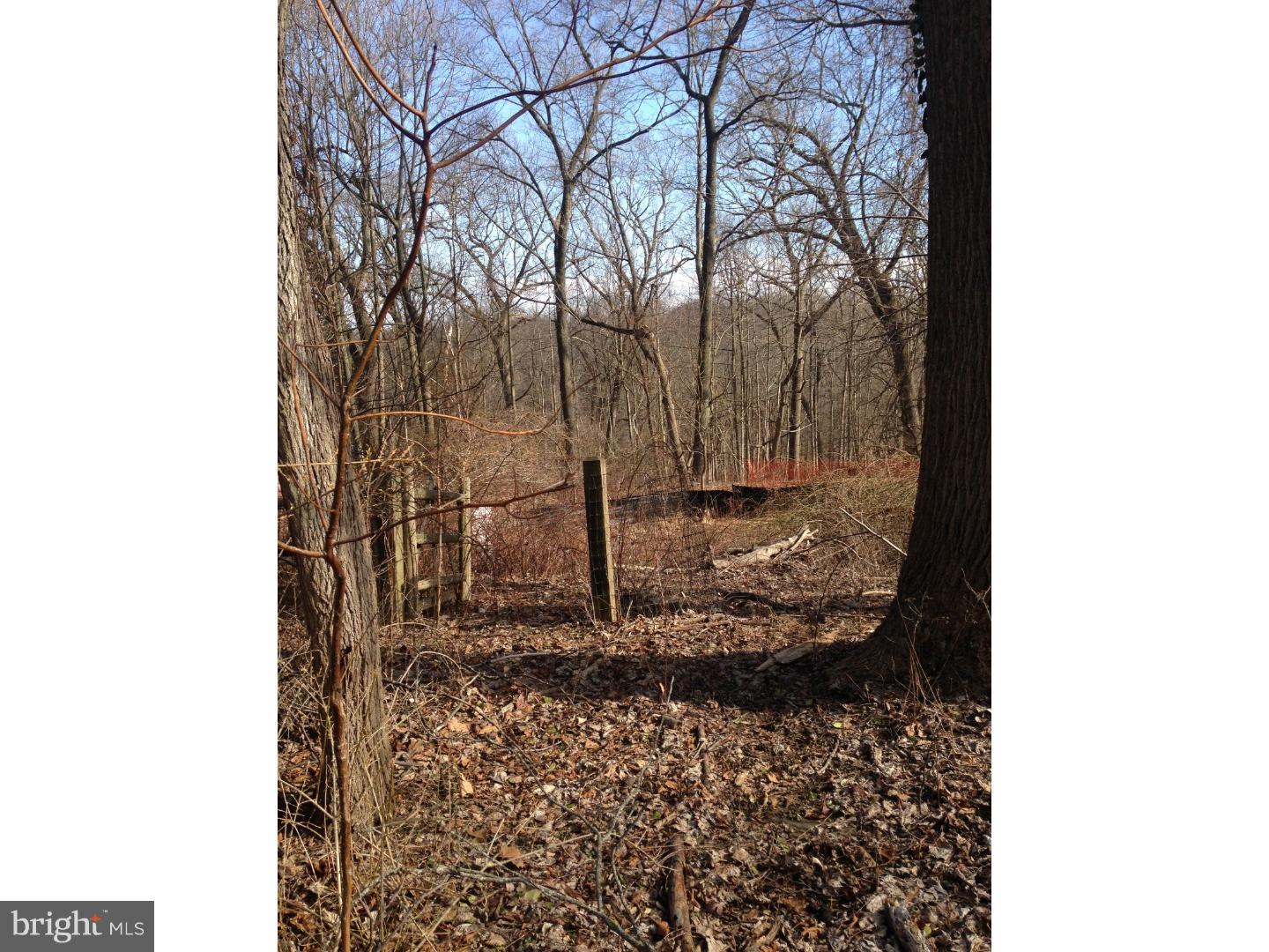 1627 Lafayette Road Gladwyne, PA 19035 - Photo 6 of 8