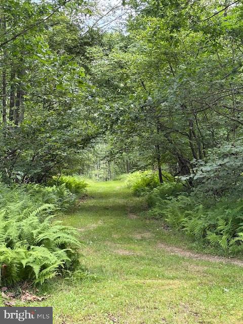 170 Blackberry Road Bellefonte, PA 16823 - Photo 11 of 20 a view of a garden with a tree