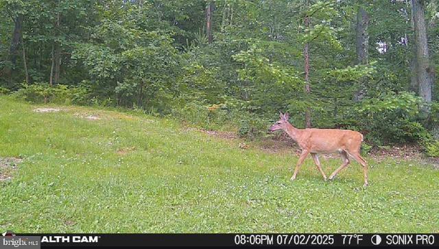 170 Blackberry Road Bellefonte, PA 16823 - Photo 16 of 20 a backyard of a house with table and chairs