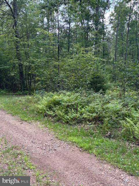 170 Blackberry Road Bellefonte, PA 16823 - Photo 17 of 20 a view of a yard with a trees