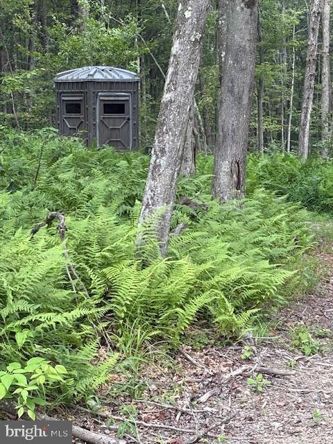 170 Blackberry Road Bellefonte, PA 16823 - Photo 19 of 20 a backyard of a house with lots of green space