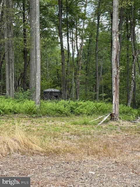 170 Blackberry Road Bellefonte, PA 16823 - Photo 10 of 20 a view of a backyard