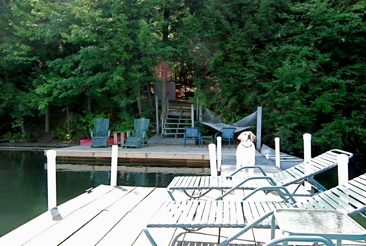 40 Bidwell Road Monterey, MA 01245 - Photo 35 of 37 FROSTY ON THE DOCK