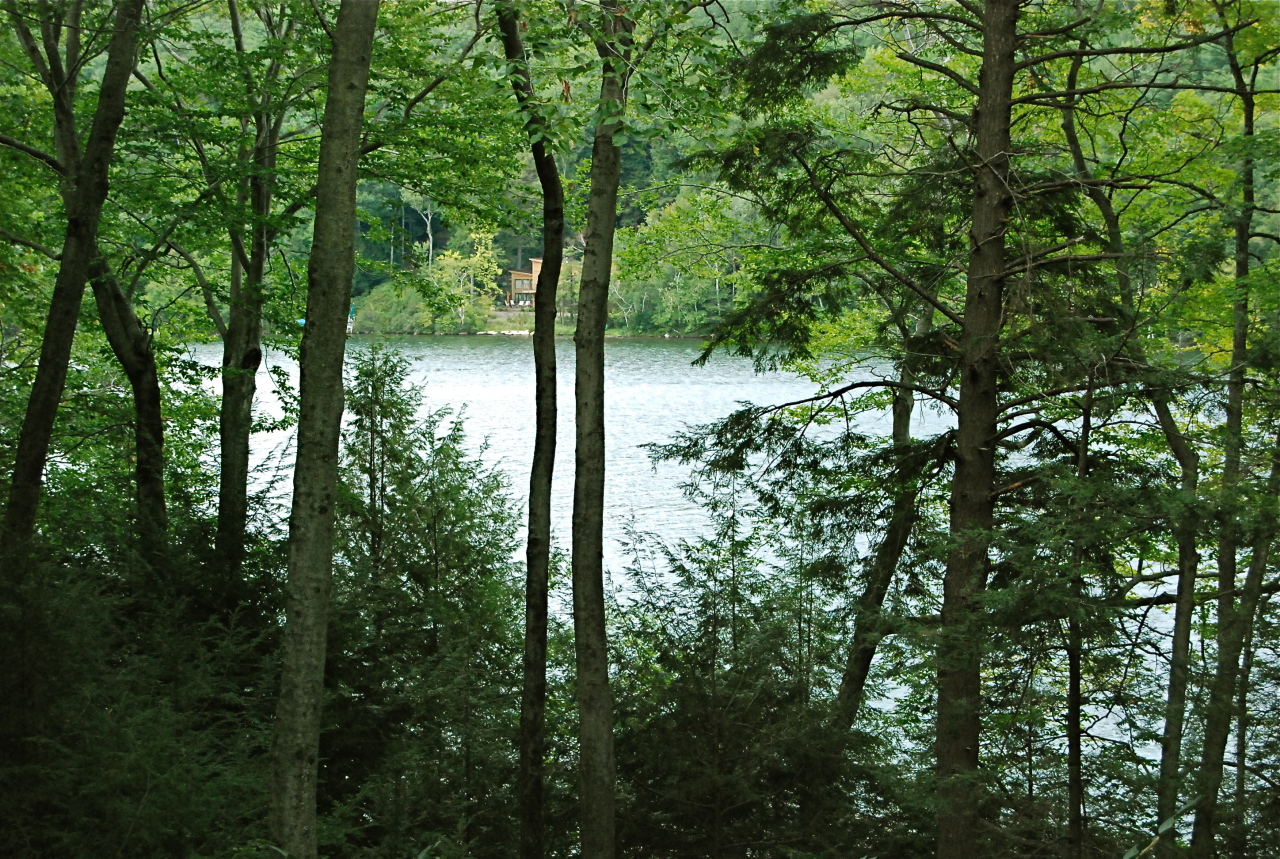 40 Bidwell Road Monterey, MA 01245 - Photo 37 of 37 THE LAKE