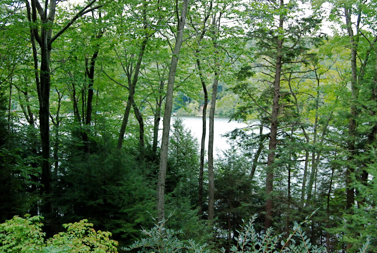 40 Bidwell Road Monterey, MA 01245 - Photo 7 of 37 VIEW TO THE LAKE