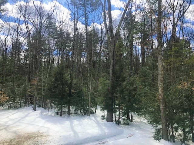 58 France Road Barrington, NH 03825 - Photo 38 of 40