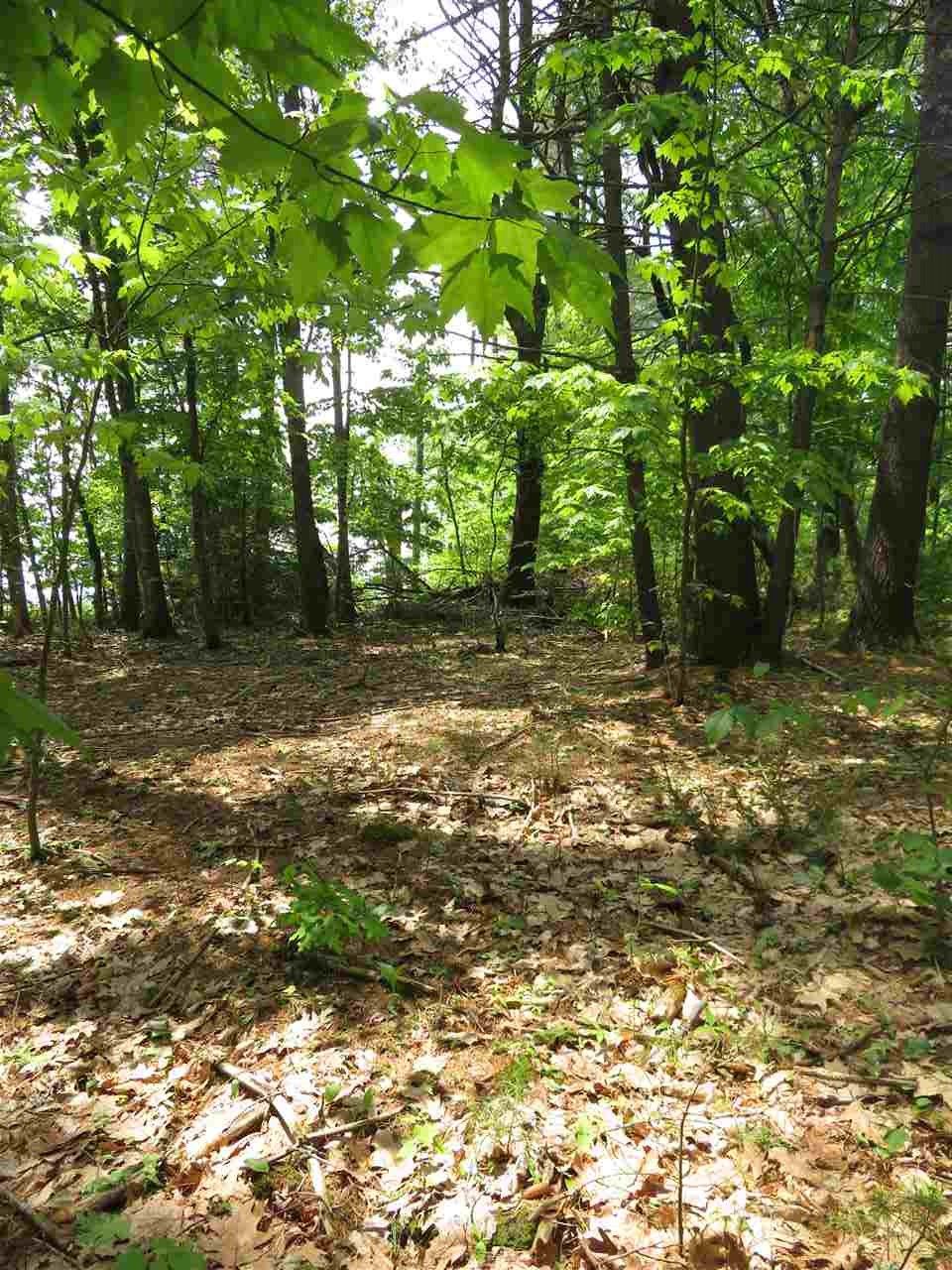 Colbath Road, Unit 56 Center Barnstead, NH 03225 - Photo 3 of 9