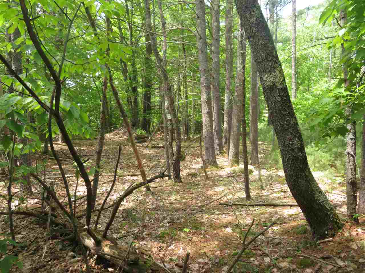 Colbath Road, Unit 56 Center Barnstead, NH 03225 - Photo 8 of 9