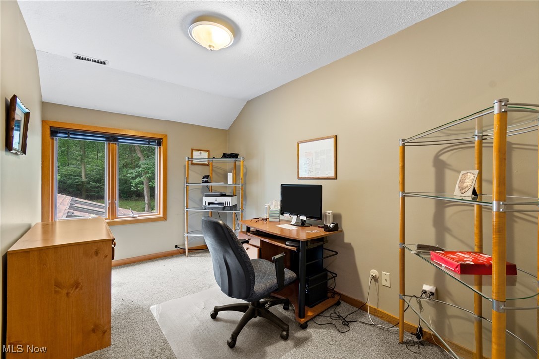 7098 Taylor Road Clinton, OH 44216 - Photo 31 of 39 Carpeted office with a textured ceiling and lofted ceiling