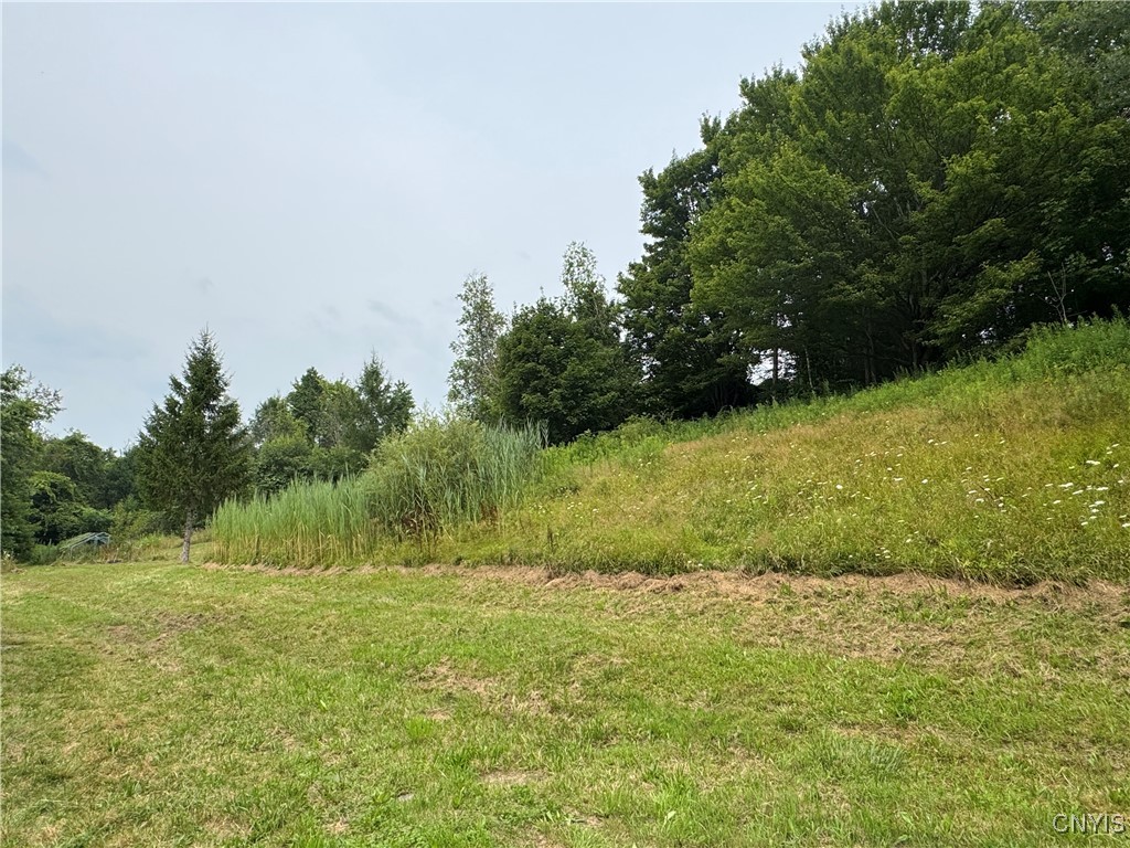 1786 Preston Hill Road Hamilton, NY 13346 - Photo 3 of 28