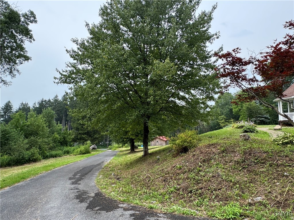 1786 Preston Hill Road Hamilton, NY 13346 - Photo 4 of 28