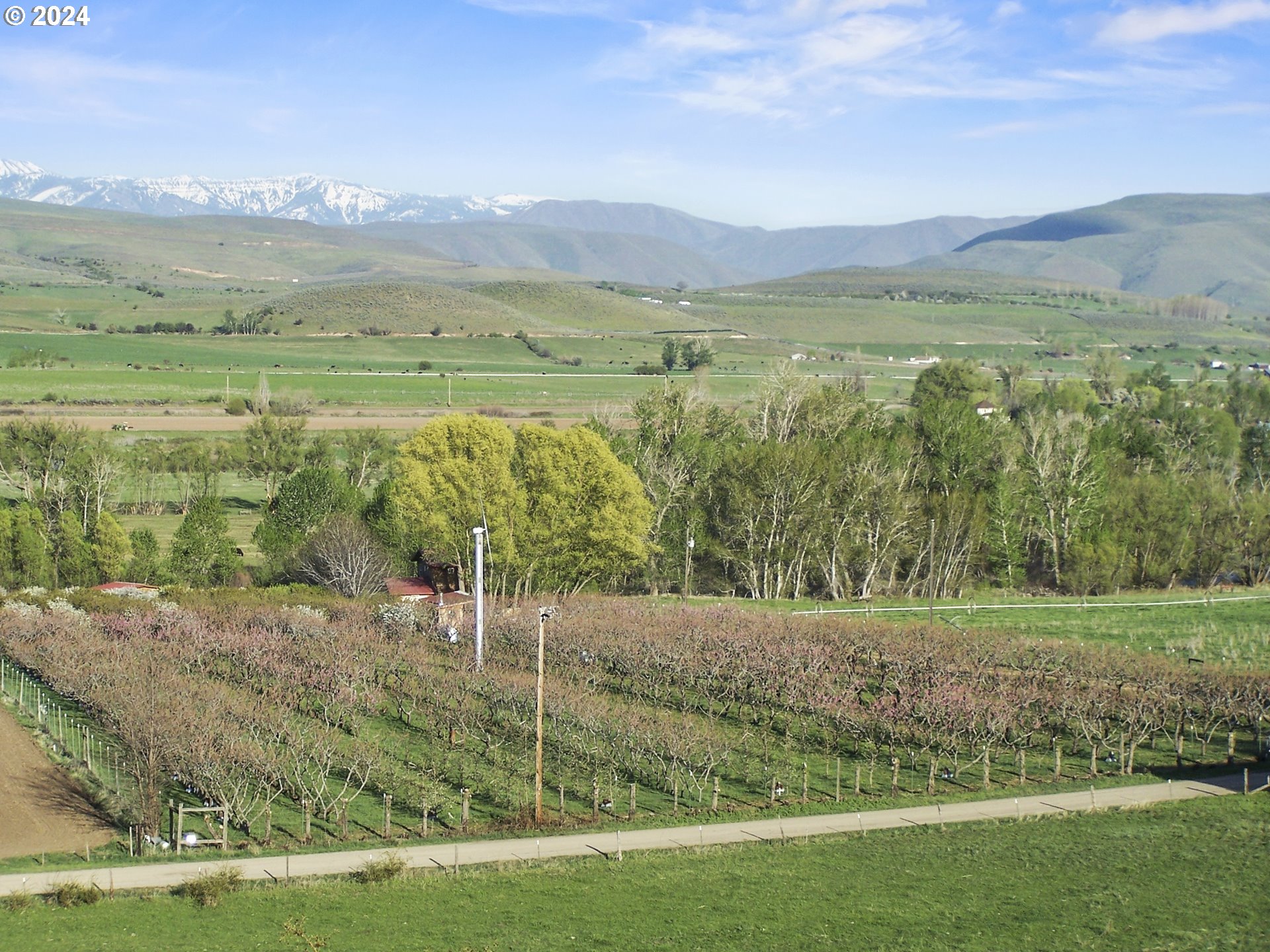 43479 Old Foothill Road Richland, OR 97870 - Photo 14 of 44 a view of a lake with a mountain