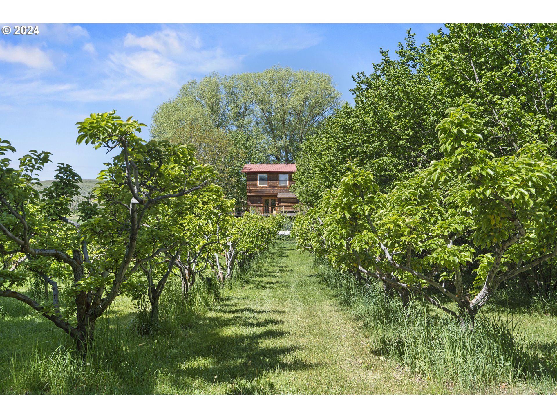 43479 Old Foothill Road Richland, OR 97870 - Photo 2 of 44 a view of a garden