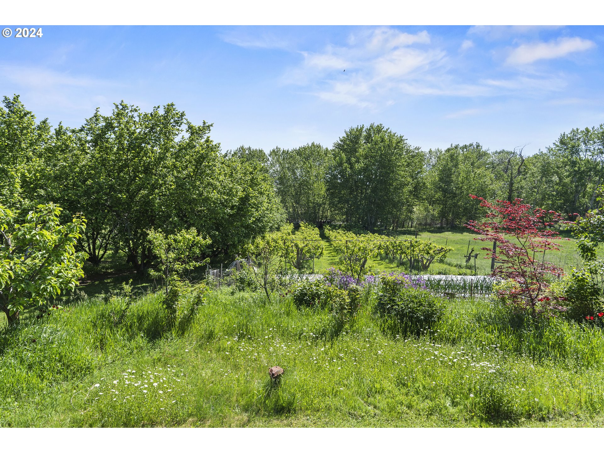 43479 Old Foothill Road Richland, OR 97870 - Photo 28 of 44 a view of a garden