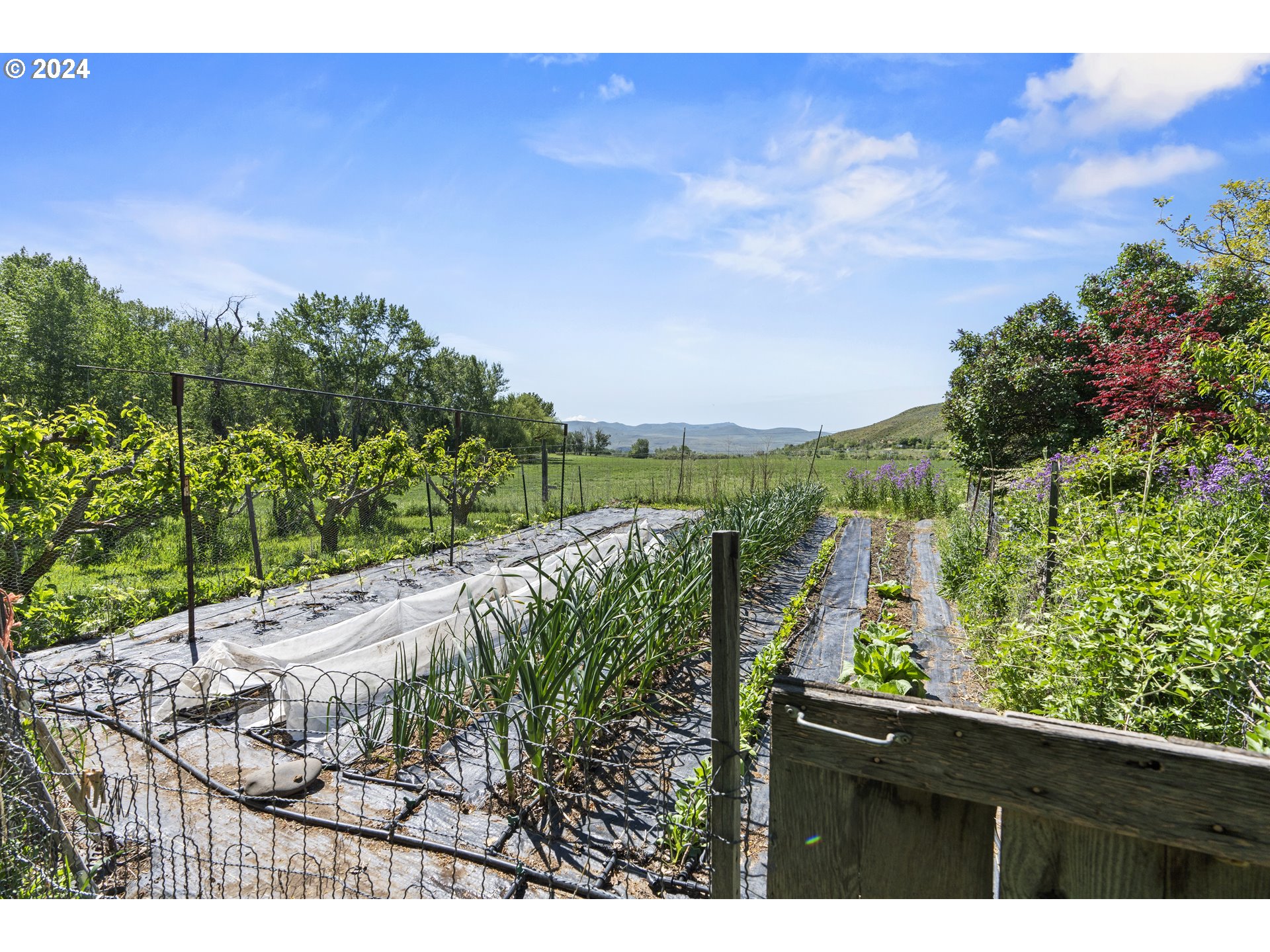 43479 Old Foothill Road Richland, OR 97870 - Photo 29 of 44 a view of a yard with a street