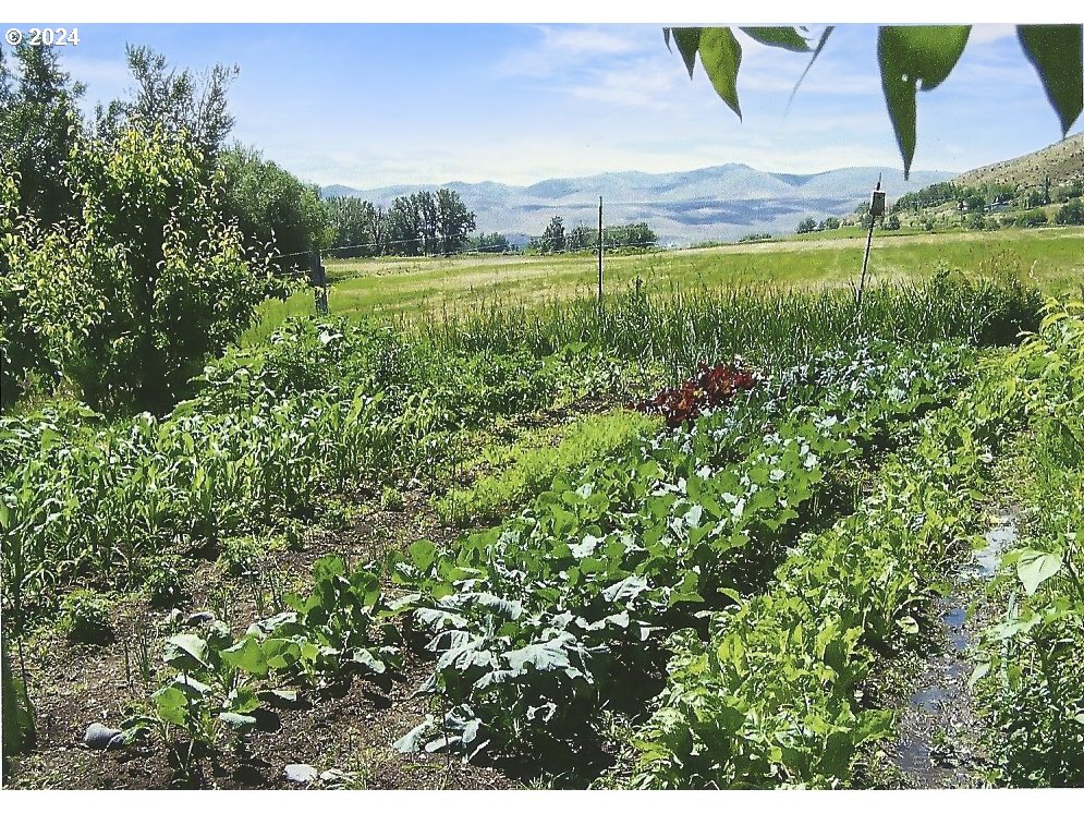43479 Old Foothill Road Richland, OR 97870 - Photo 30 of 44 a view of a lush green outdoor space with a lake view
