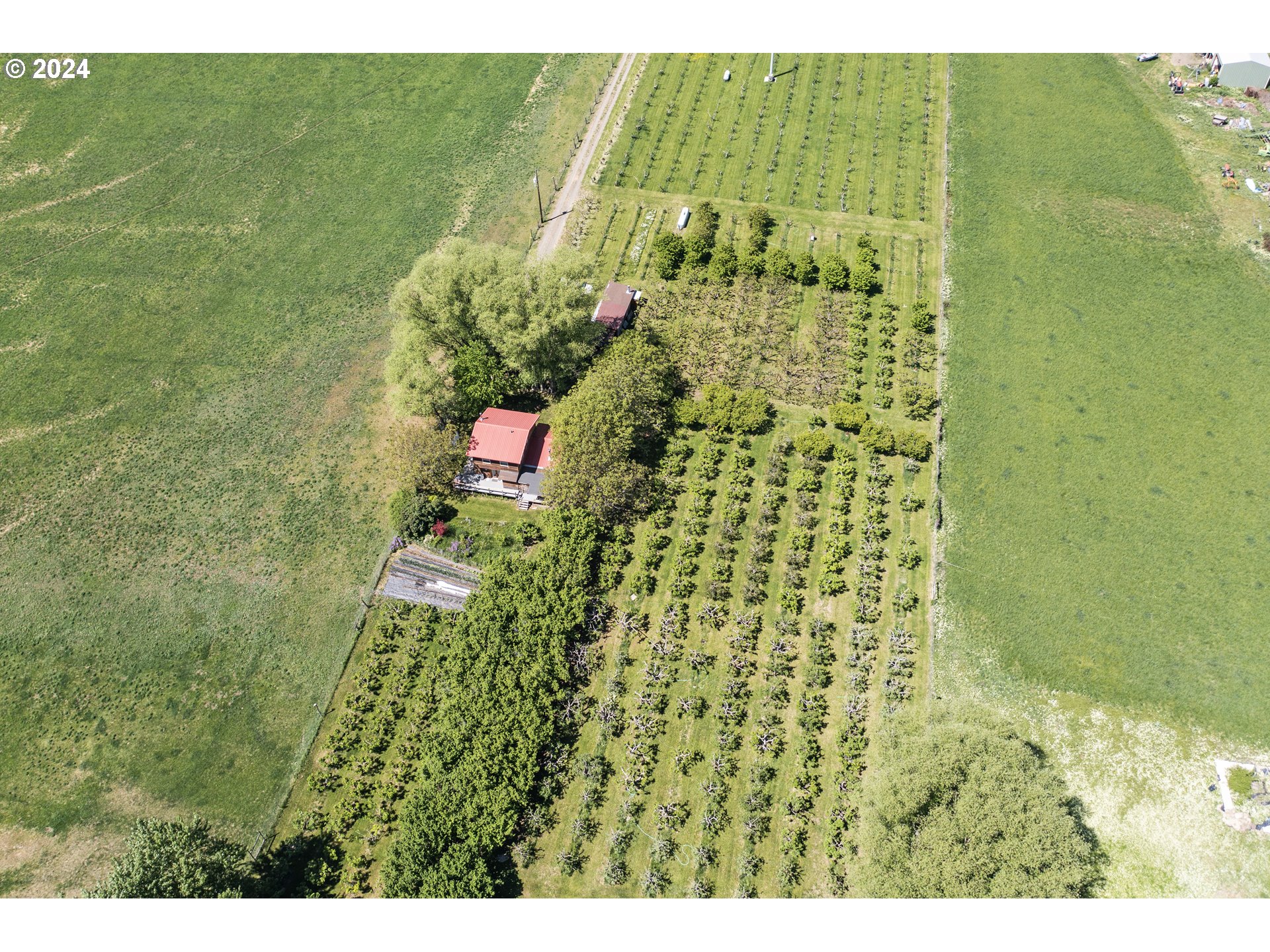 43479 Old Foothill Road Richland, OR 97870 - Photo 3 of 44 a view of a garden