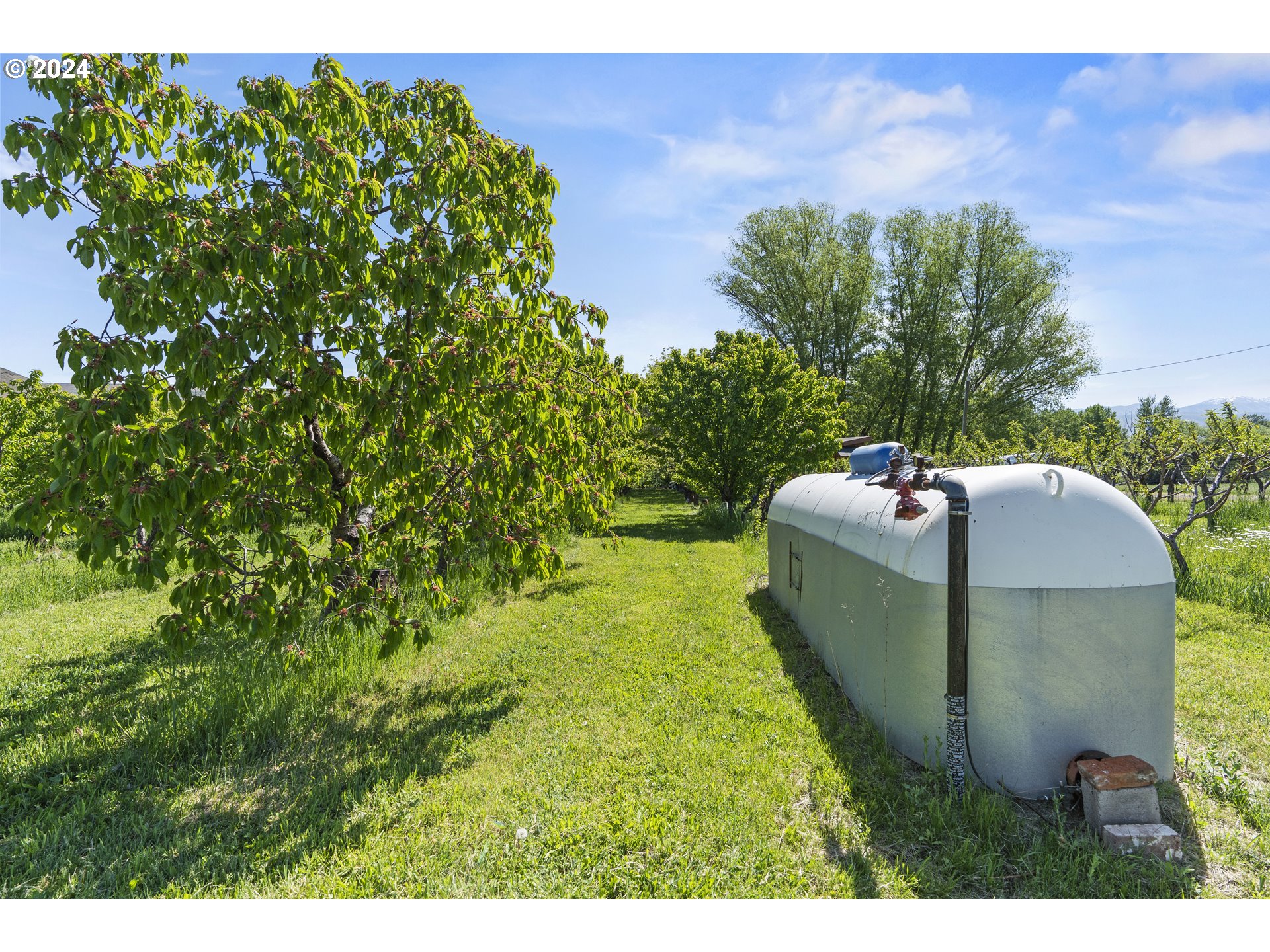 43479 Old Foothill Road Richland, OR 97870 - Photo 31 of 44 a garden view