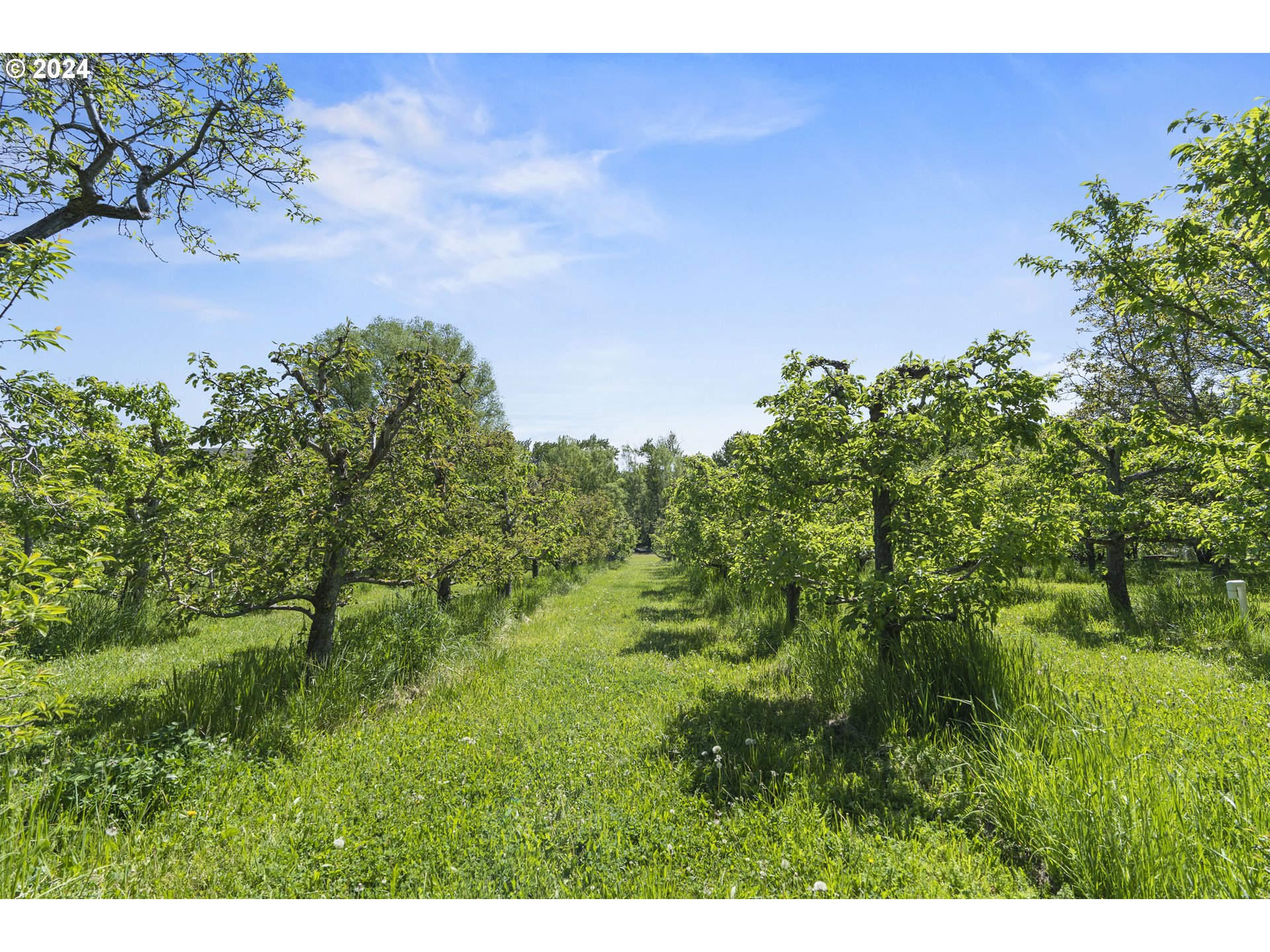 43479 Old Foothill Road Richland, OR 97870 - Photo 32 of 44 a view of a garden