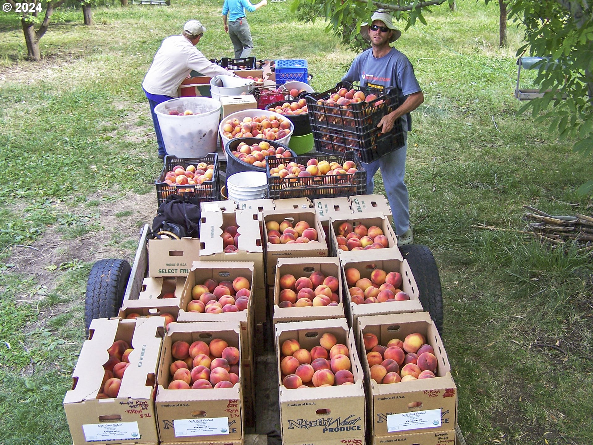 43479 Old Foothill Road Richland, OR 97870 - Photo 35 of 44 unknown