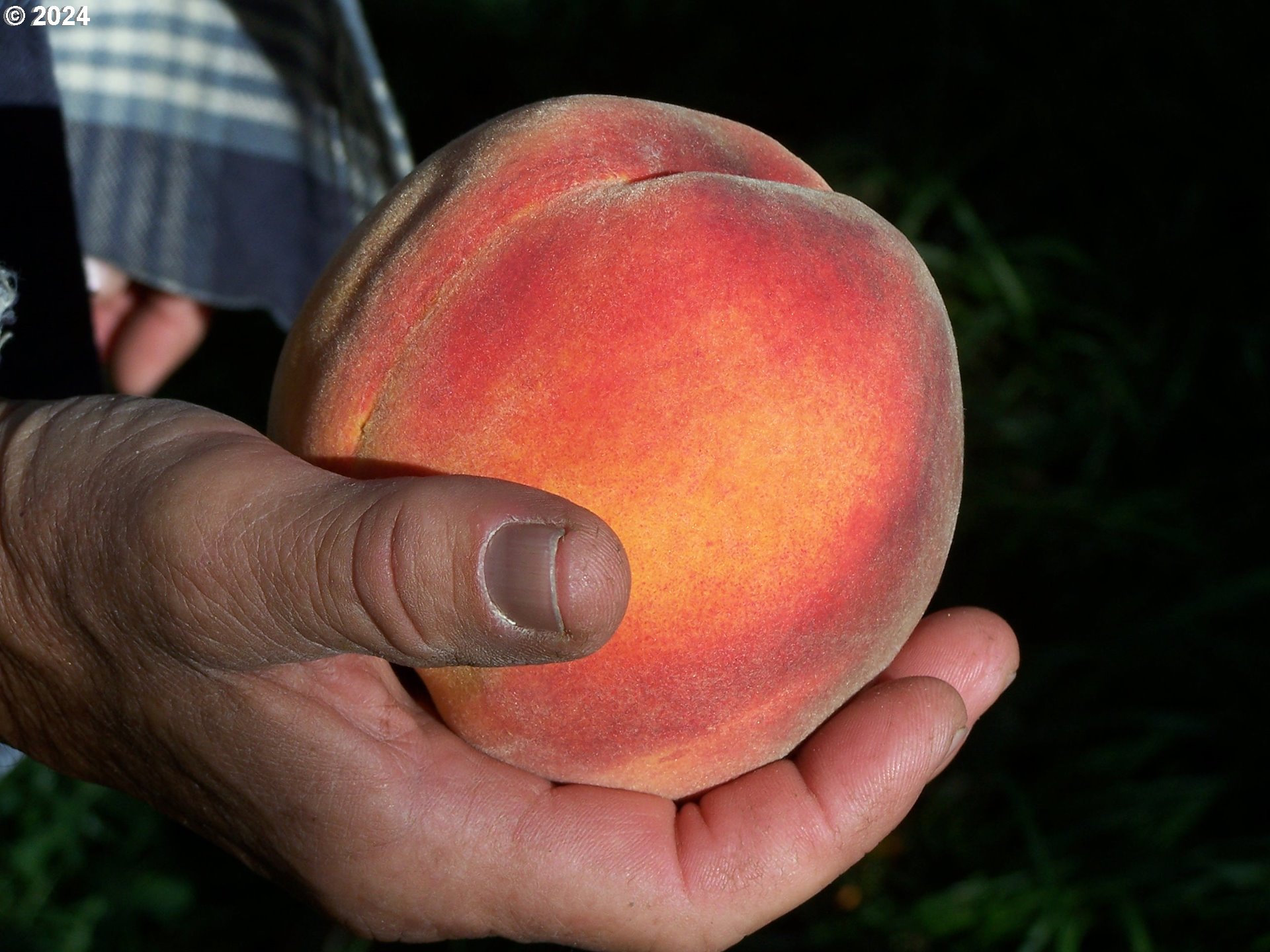 43479 Old Foothill Road Richland, OR 97870 - Photo 36 of 44 a view of cabinets