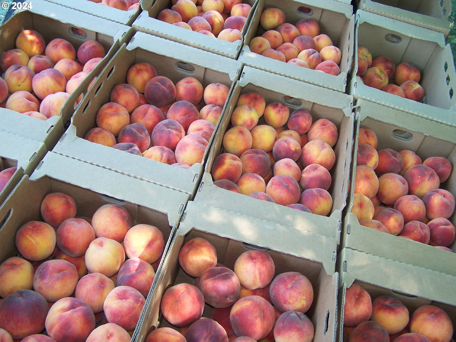 43479 Old Foothill Road Richland, OR 97870 - Photo 39 of 44