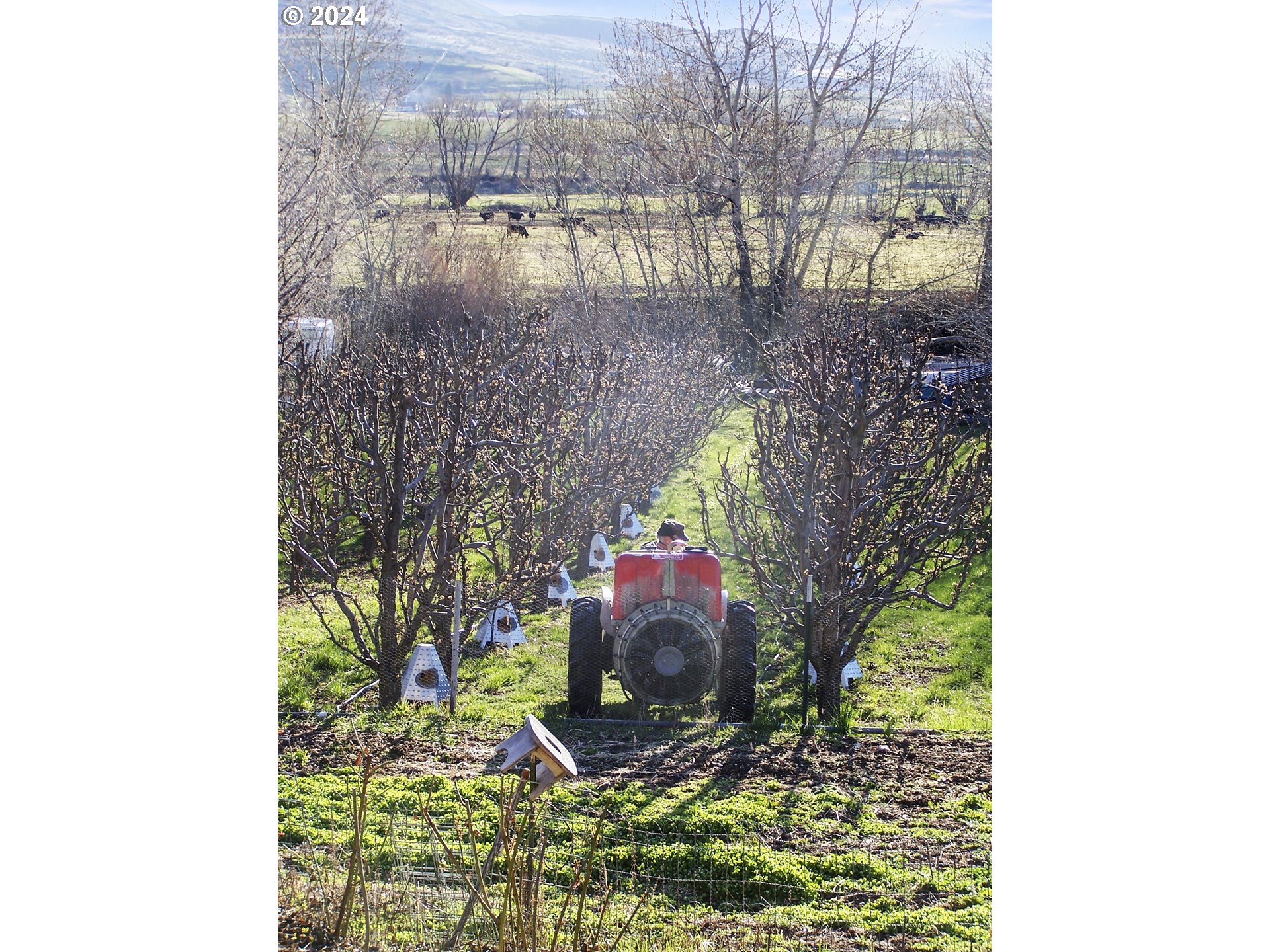 43479 Old Foothill Road Richland, OR 97870 - Photo 41 of 44 a view of a yard