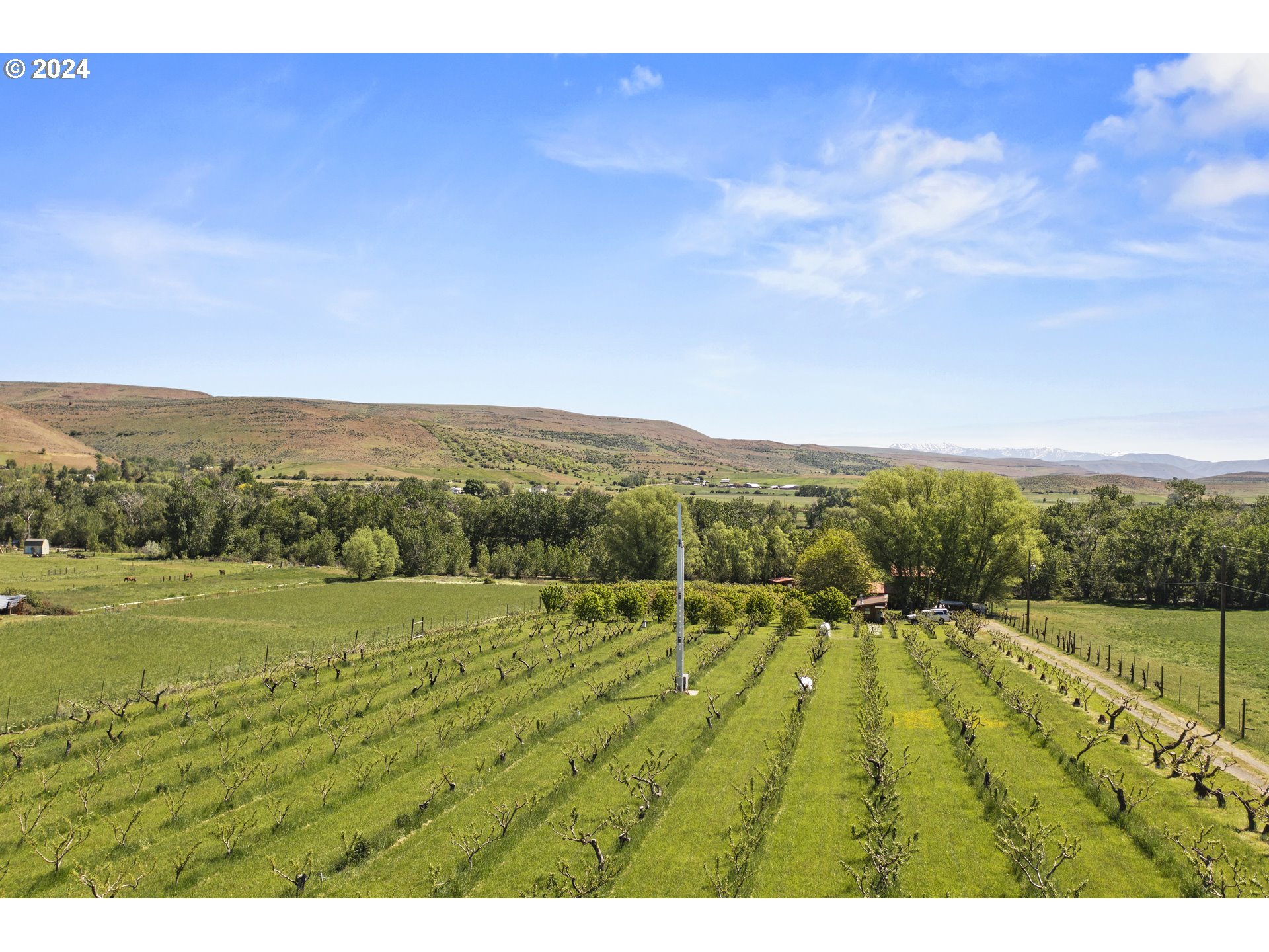 43479 Old Foothill Road Richland, OR 97870 - Photo 43 of 44 a view of an outdoor space and a yard