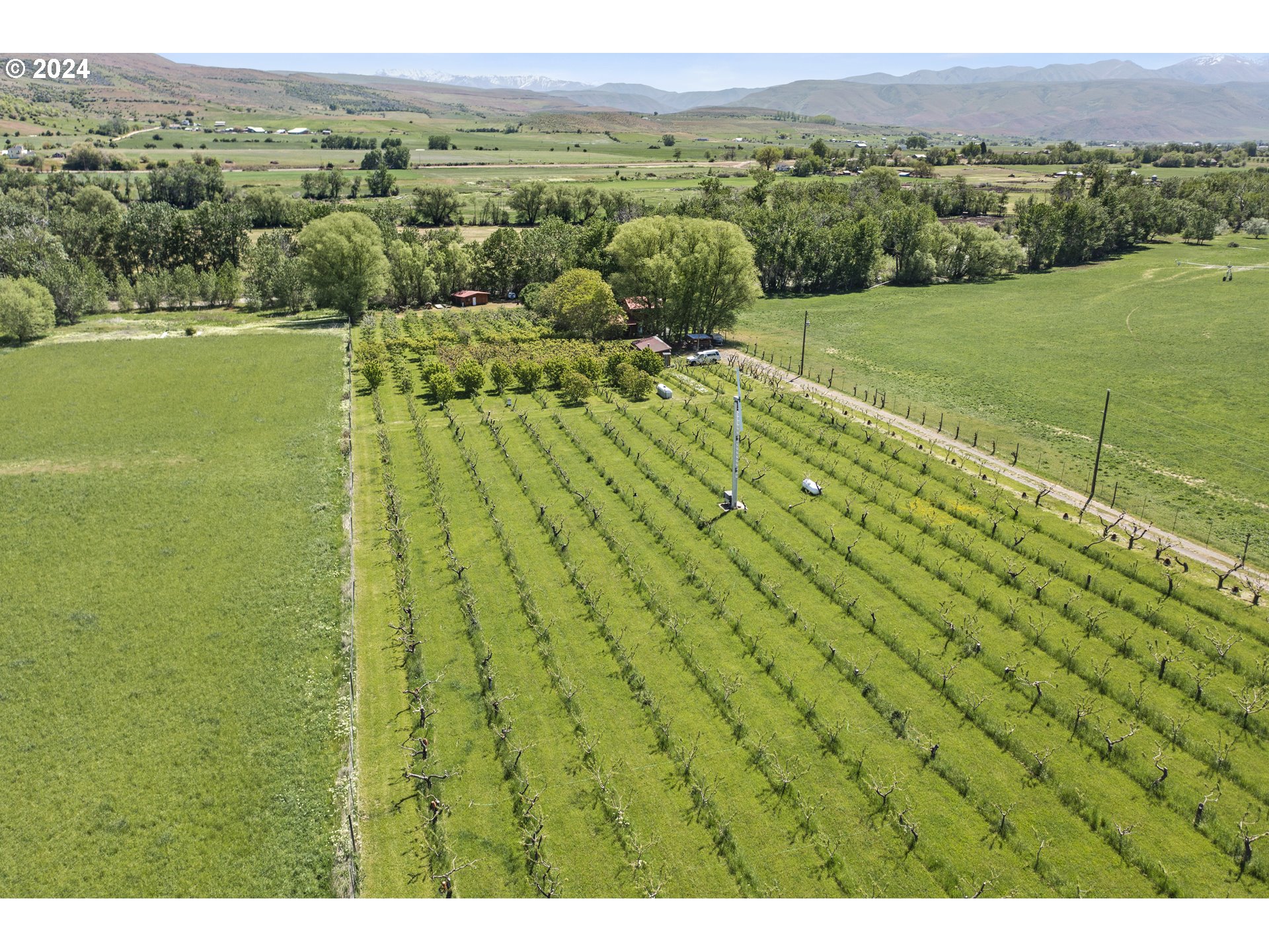 43479 Old Foothill Road Richland, OR 97870 - Photo 6 of 44 a view of a lush green forest with a houses