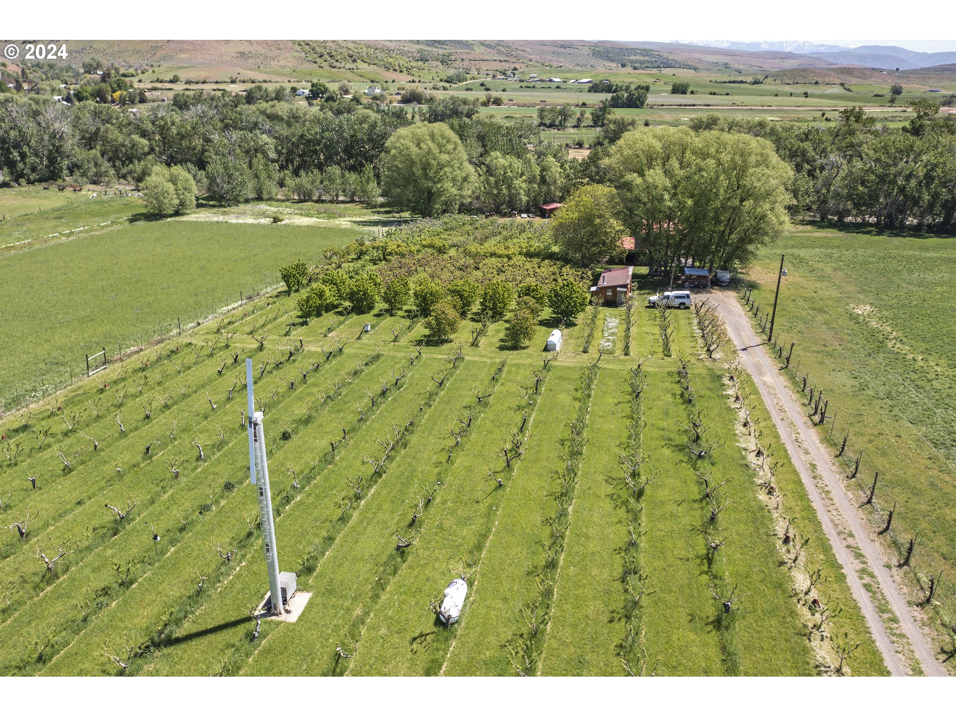 43479 Old Foothill Road Richland, OR 97870 - Photo 7 of 44 a view of yard with an outdoor space