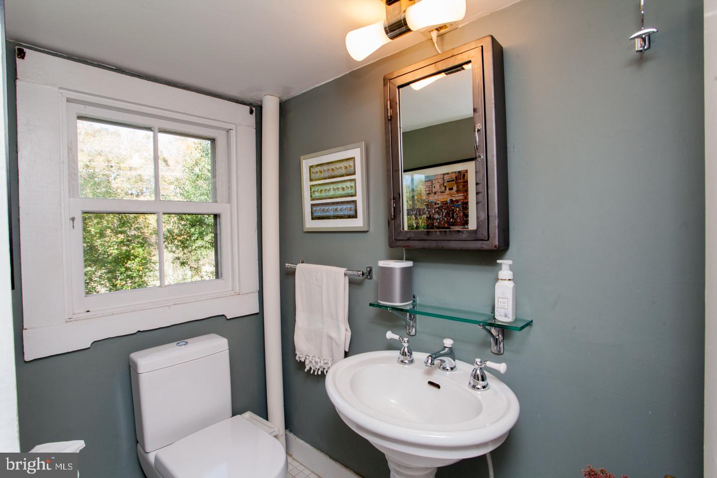 785 River Road Erwinna, PA 18920 - Photo 33 of 64 2nd Bath with dual flush toilet and stall shower