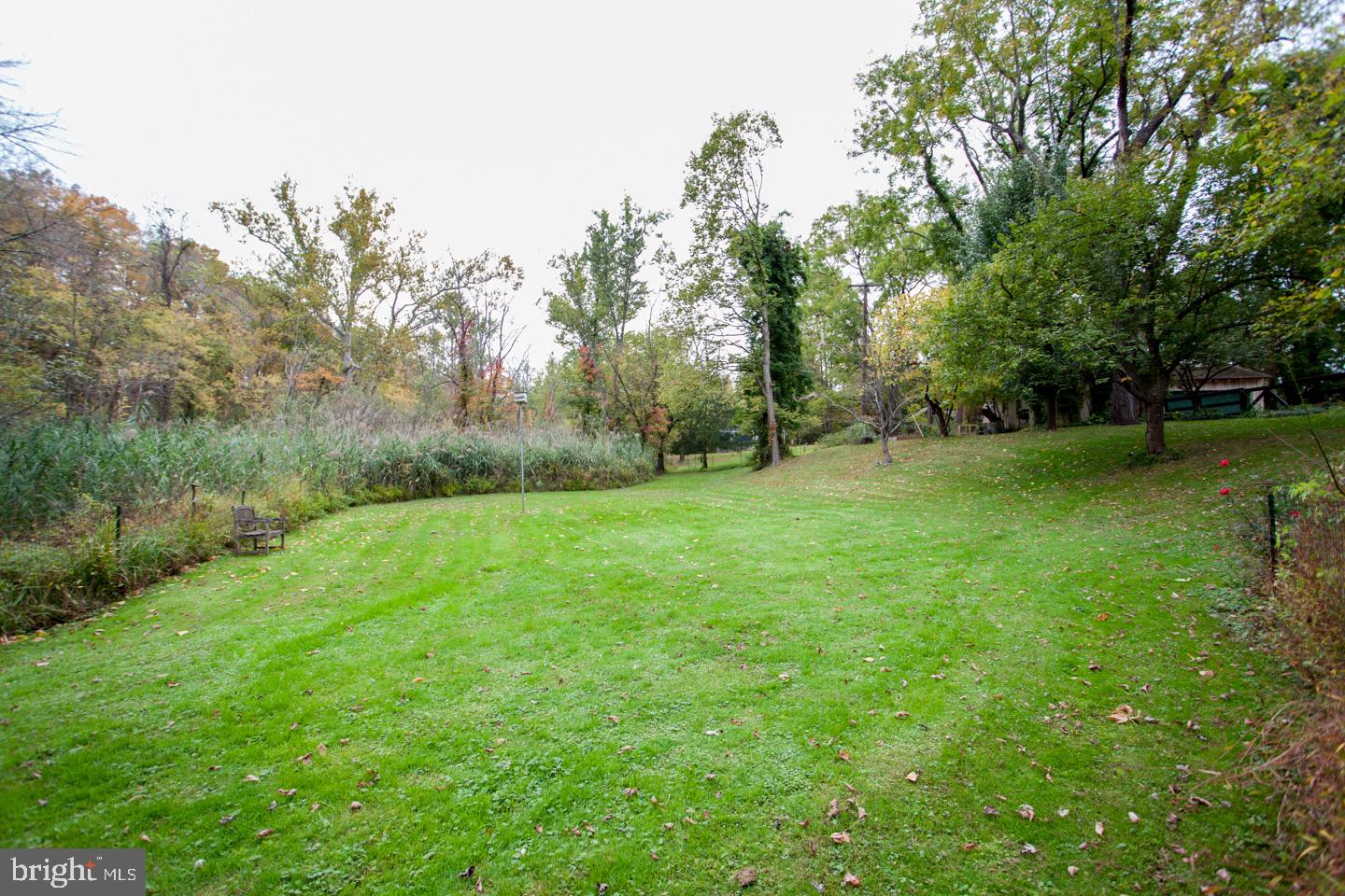 785 River Road Erwinna, PA 18920 - Photo 56 of 64 Back yard
