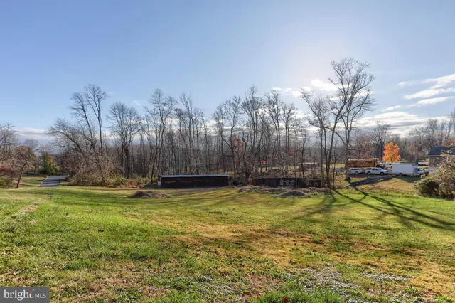 a view of a yard with a trees