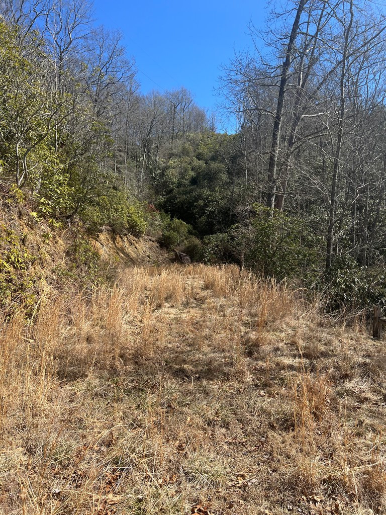 Lot 19 Preserve Valley Road Topton, NC 28781 - Photo 3 of 5