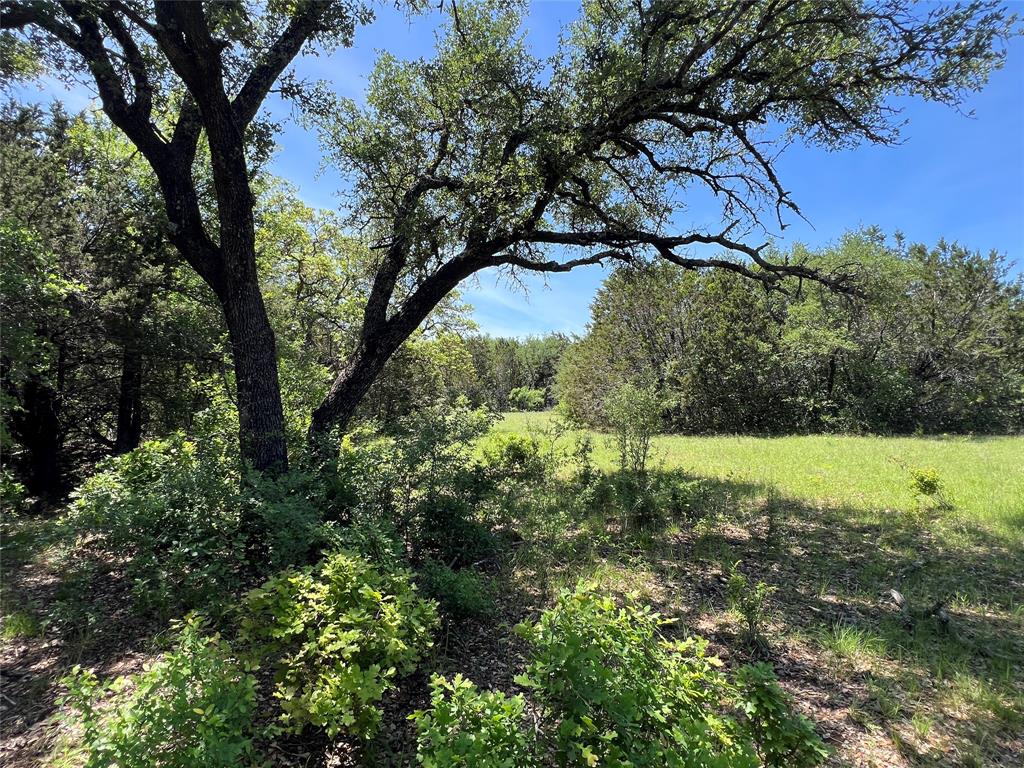 Tbd Lake Creek Road Gordon, TX 76453 - Photo 7 of 18 a view of a yard with large trees