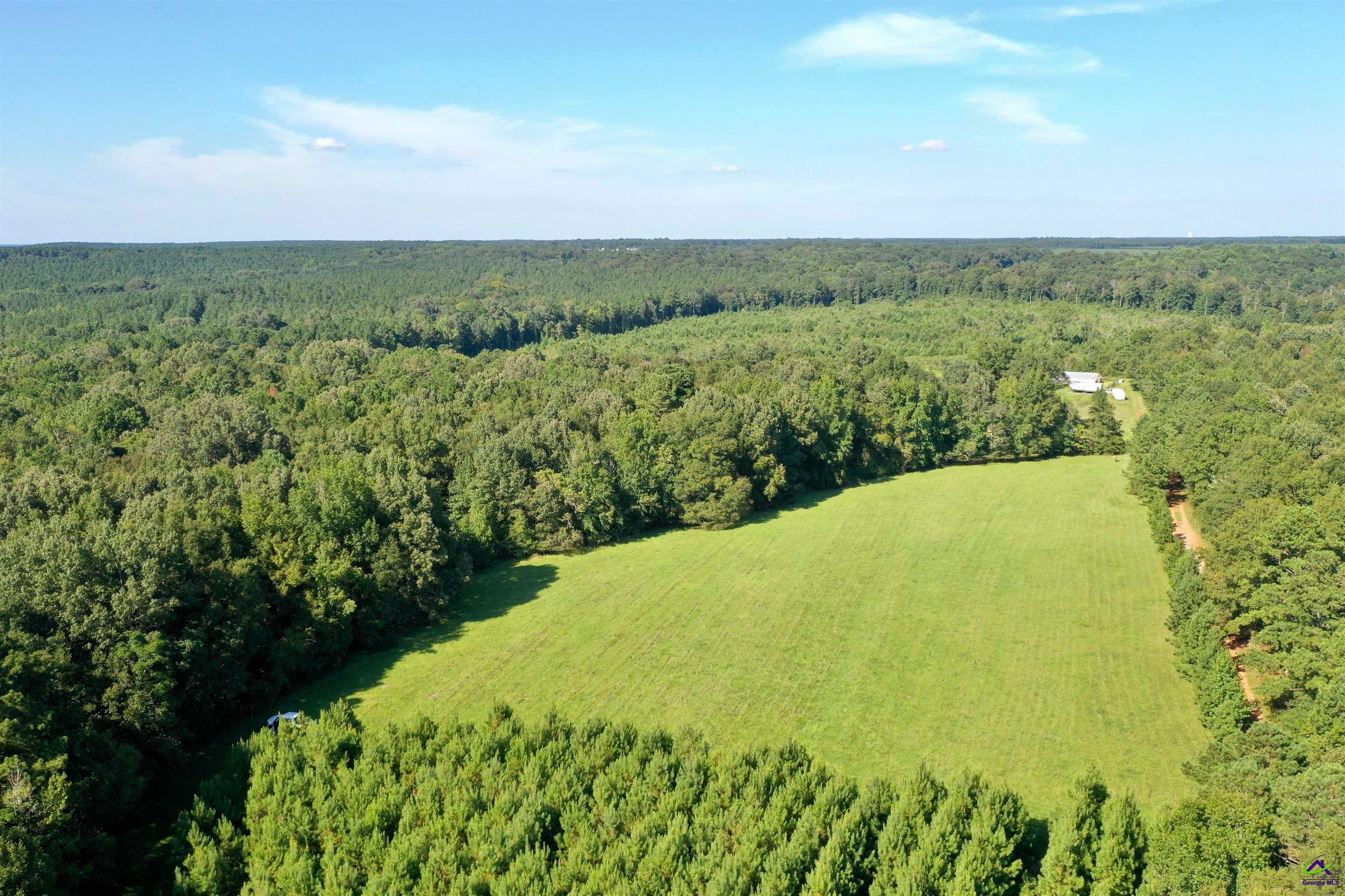 2020 Horseshoe Bend Road Montezuma, GA 31063 - Photo 5 of 13 Gallery Image 5