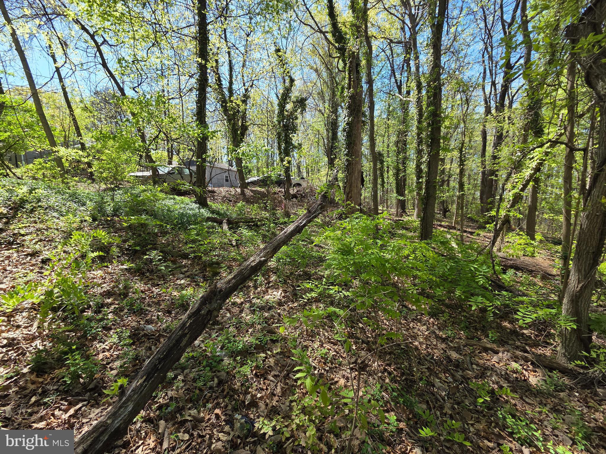 Riverdale Road Lanham, MD 20706 - Photo 9 of 15