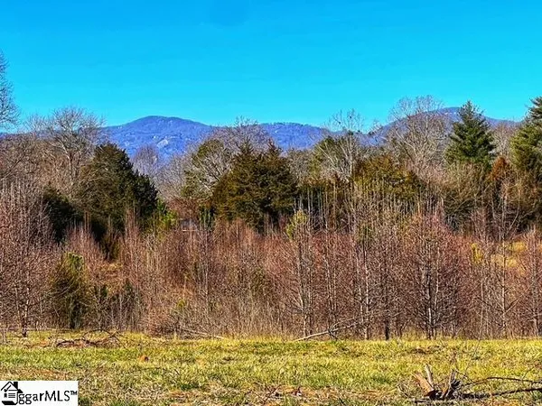 $299,000 | 0 Cockrell Road, Greer, SC 29651