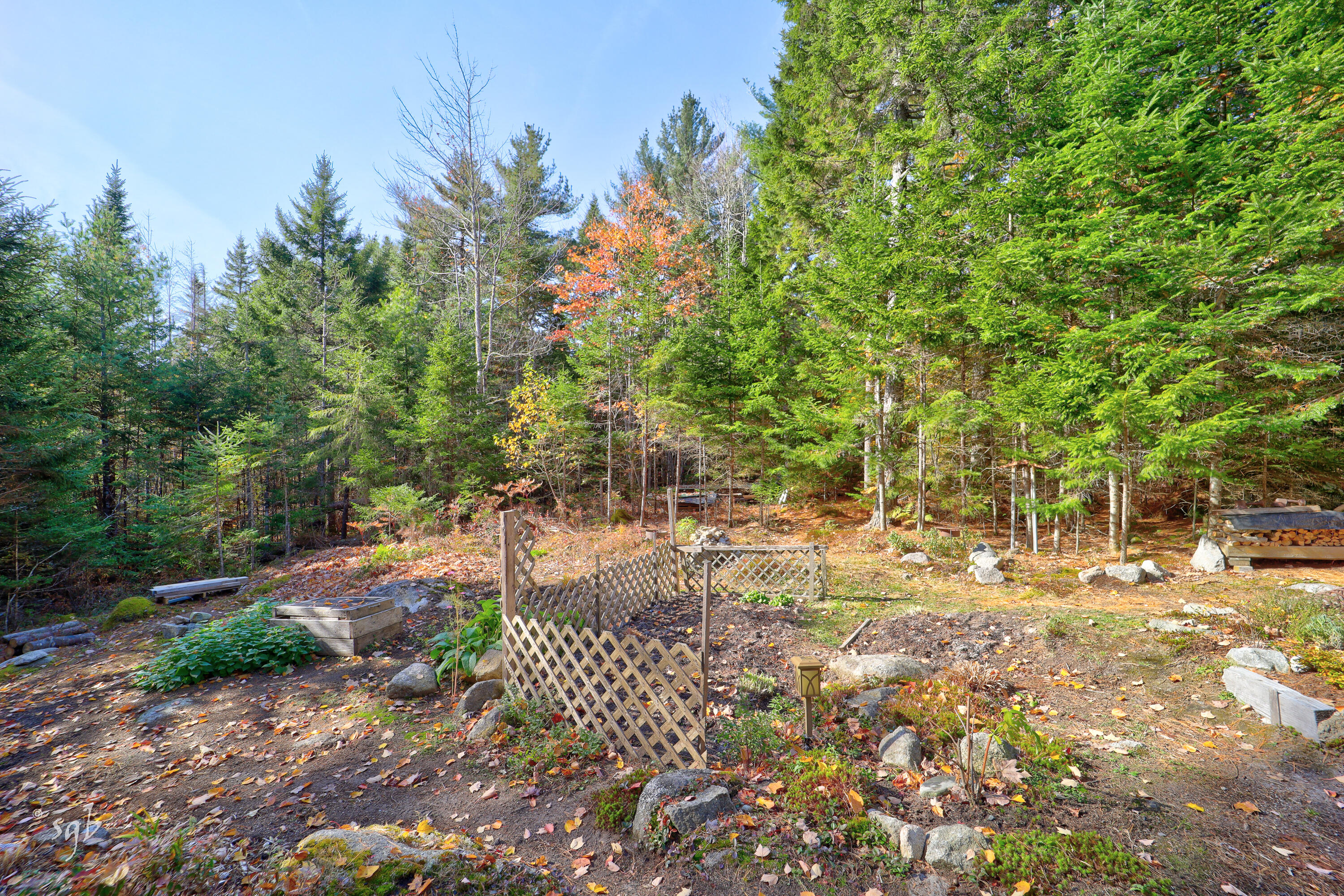 210 Jay Carter Road Blue Hill, ME 04614 - Photo 17 of 22 20241022-210 Jay Carter Road 2